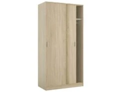 Vestiaire Dagnan, Armoire De Chambre Ă 2 Portes Coulissantes, Armoire Avec Ă©tagĂšre Et Barre De Cintre, 100x50h200 Cm, ChĂȘne